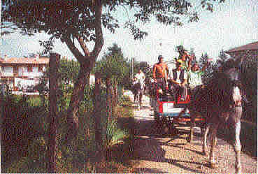 a cavallo
